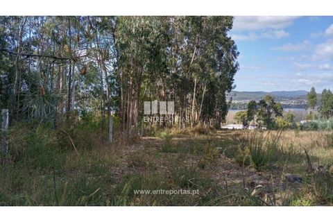 Helårsgrund i Caminha, Viana do Castelo, Caminha - € 260.000 | Ref: C02491 - foto 27