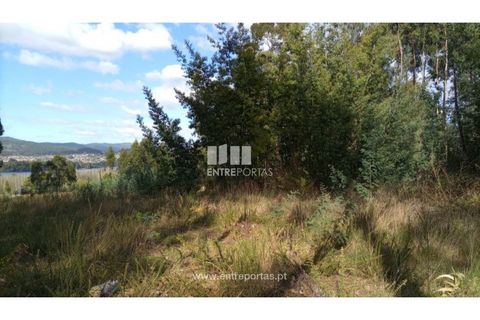 Helårsgrund i Caminha, Viana do Castelo, Caminha - € 260.000 | Ref: C02491 - foto 29