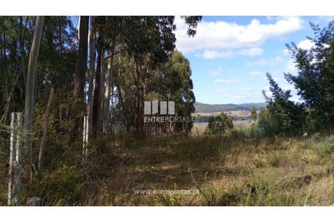 Helårsgrund i Caminha, Viana do Castelo, Caminha - € 260.000 | Ref: C02491 - foto 30