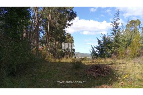 Helårsgrund i Caminha, Viana do Castelo, Caminha - € 260.000 | Ref: C02491 - foto 31