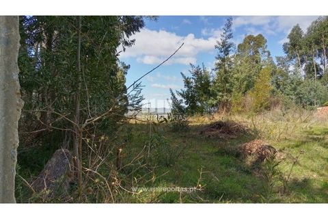 Helårsgrund i Caminha, Viana do Castelo, Caminha - € 260.000 | Ref: C02491 - foto 32