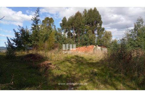 Helårsgrund i Caminha, Viana do Castelo, Caminha - € 260.000 | Ref: C02491 - foto 33