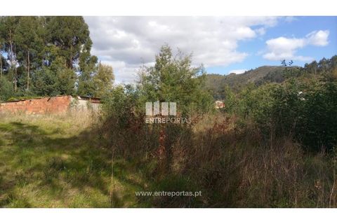 Helårsgrund i Caminha, Viana do Castelo, Caminha - € 260.000 | Ref: C02491 - foto 34