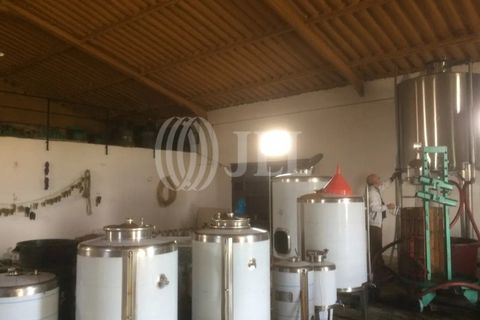 Terreno en Alijo, Vila Real, Alijo - € 1.100.000 | Ref: 91498 - photo 4