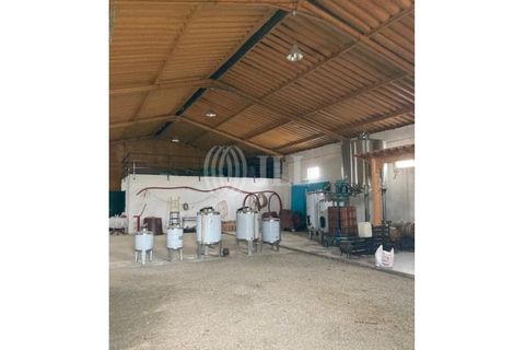 Terreno en Alijo, Vila Real, Alijo - € 1.100.000 | Ref: 91498 - photo 5