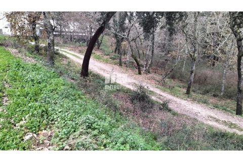 Tomt i Amarante, Porto, Amarante - € 40 000 | Ref: MC09434 - foto 3