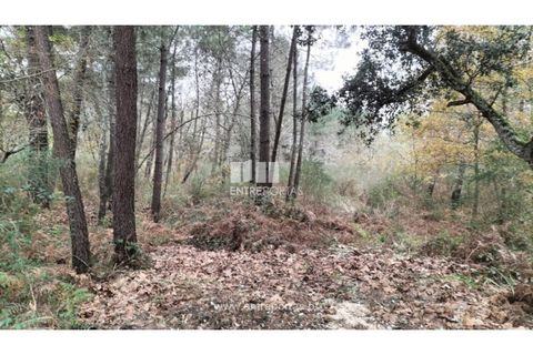 Tomt i Amarante, Porto, Amarante - € 40 000 | Ref: MC09434 - foto 8