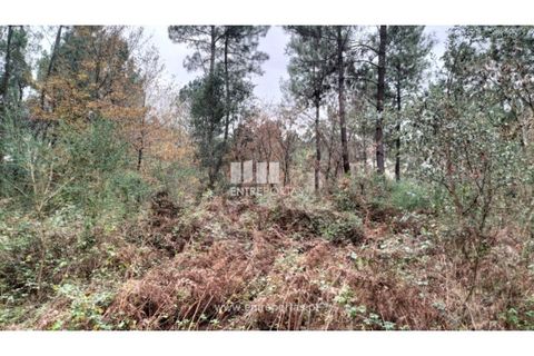 Tomt i Amarante, Porto, Amarante - € 40 000 | Ref: MC09434 - foto 9