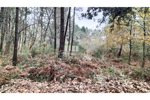Tomt i Amarante, Porto, Amarante - € 40 000 | Ref: MC09434 - foto 14
