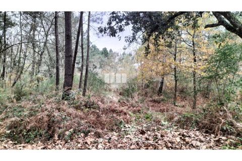 Tomt i Amarante, Porto, Amarante - € 40 000 | Ref: MC09434 - foto 15