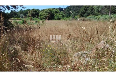 Helårsgrund i Caminha, Viana do Castelo, Caminha - € 100.000 | Ref: C02544 - foto 16