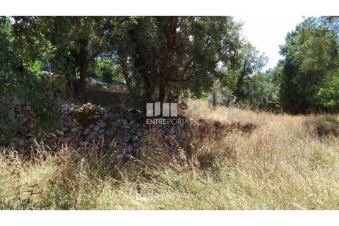 Helårsgrund i Caminha, Viana do Castelo, Caminha - € 100.000 | Ref: C02544 - foto 24