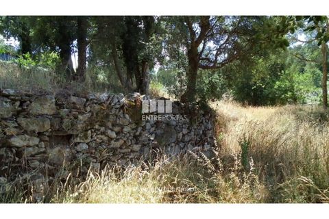 Helårsgrund i Caminha, Viana do Castelo, Caminha - € 100.000 | Ref: C02544 - foto 25