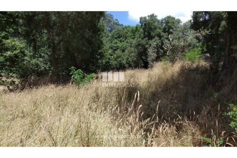 Helårsgrund i Caminha, Viana do Castelo, Caminha - € 100.000 | Ref: C02544 - foto 26