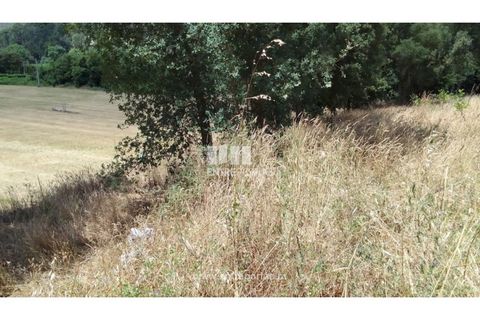 Helårsgrund i Caminha, Viana do Castelo, Caminha - € 100.000 | Ref: C02544 - foto 30