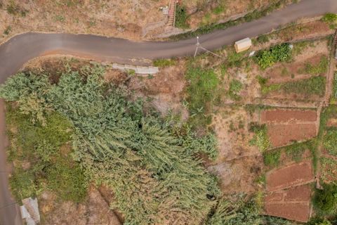 Terra a Caniço, Madeira, Caniço - € 95.000 | Ref: TER_1000 - foto 2
