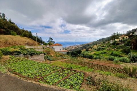 Terra a Caniço, Madeira, Caniço - € 95.000 | Ref: TER_1000 - foto 3