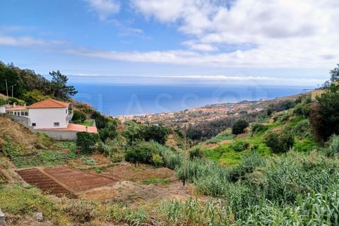 Terra a Caniço, Madeira, Caniço - € 95.000 | Ref: TER_1000 - foto 4