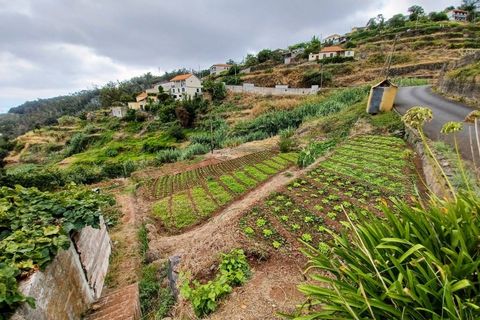 Terra a Caniço, Madeira, Caniço - € 95.000 | Ref: TER_1000 - foto 11