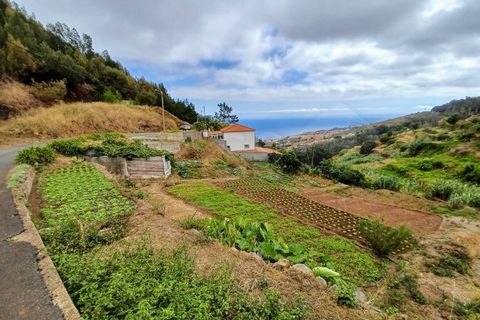 Terra a Caniço, Madeira, Caniço - € 95.000 | Ref: TER_1000 - foto 12