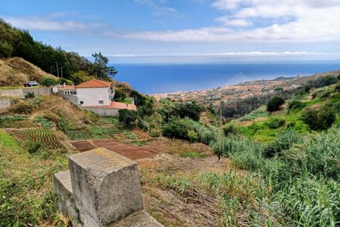 Terra a Caniço, Madeira, Caniço - € 95.000 | Ref: TER_1000 - foto 13