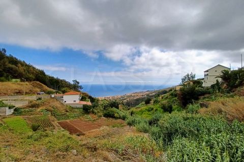 Terra a Caniço, Madeira, Caniço - € 95.000 | Ref: TER_1000 - foto 14
