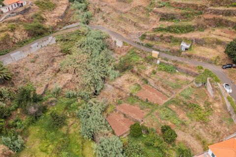 Terra a Caniço, Madeira, Caniço - € 95.000 | Ref: TER_1000 - foto 15