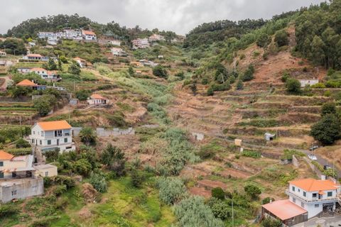 Terra a Caniço, Madeira, Caniço - € 95.000 | Ref: TER_1000 - foto 16