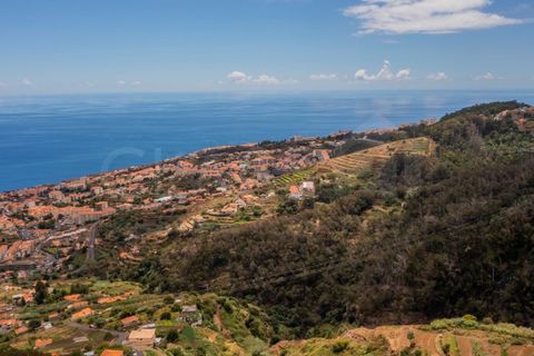 Terra a Caniço, Madeira, Caniço - € 95.000 | Ref: TER_1000 - foto 17