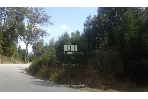 Helårsgrund i Cabeca Santa, Porto, Cabeca Santa - € 150.000 | Ref: MC07632 - foto 1