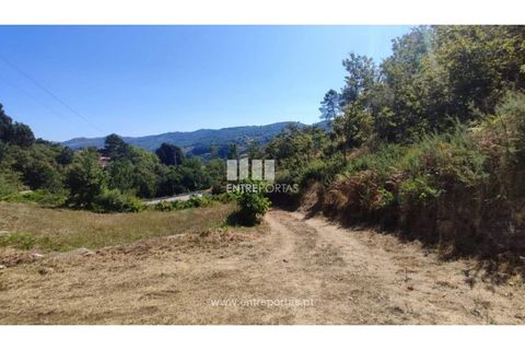Landejendom i Baiao, Porto, Baiao - € 55.000 | Ref: MC02756 - foto 5