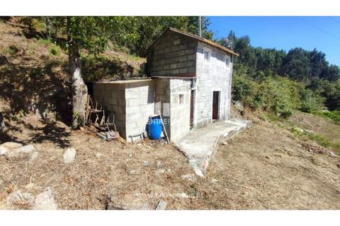 Landejendom i Baiao, Porto, Baiao - € 55.000 | Ref: MC02756 - foto 8