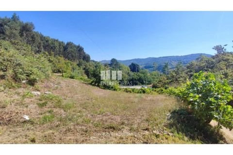 Landejendom i Baiao, Porto, Baiao - € 55.000 | Ref: MC02756 - foto 12