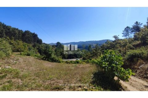 Landejendom i Baiao, Porto, Baiao - € 55.000 | Ref: MC02756 - foto 13