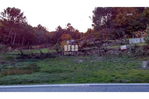 Landejendom i Baiao, Porto, Baiao - € 55.000 | Ref: MC02756 - foto 14