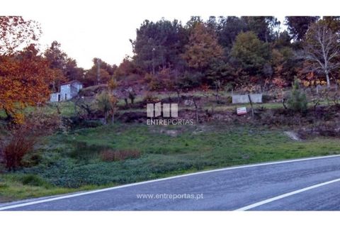 Landejendom i Baiao, Porto, Baiao - € 55.000 | Ref: MC02756 - foto 15