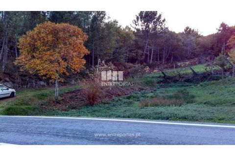 Landejendom i Baiao, Porto, Baiao - € 55.000 | Ref: MC02756 - foto 16