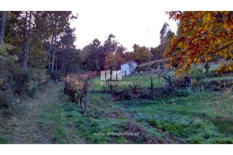 Landejendom i Baiao, Porto, Baiao - € 55.000 | Ref: MC02756 - foto 17