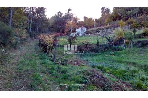 Landejendom i Baiao, Porto, Baiao - € 55.000 | Ref: MC02756 - foto 18