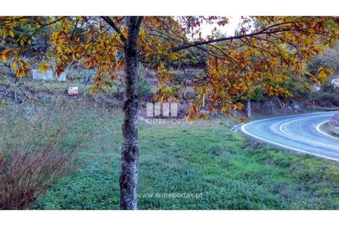 Landejendom i Baiao, Porto, Baiao - € 55.000 | Ref: MC02756 - foto 19