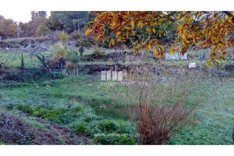 Landejendom i Baiao, Porto, Baiao - € 55.000 | Ref: MC02756 - foto 20
