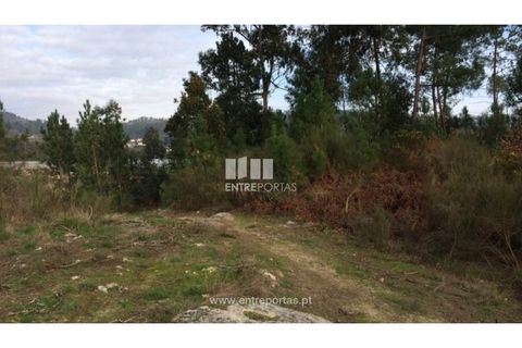 Helårsgrund i Penafiel, Porto, Penafiel - € 67.500 | Ref: MC08054 - foto 8