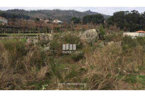 Helårsgrund i Penafiel, Porto, Penafiel - € 67.500 | Ref: MC08054 - foto 10