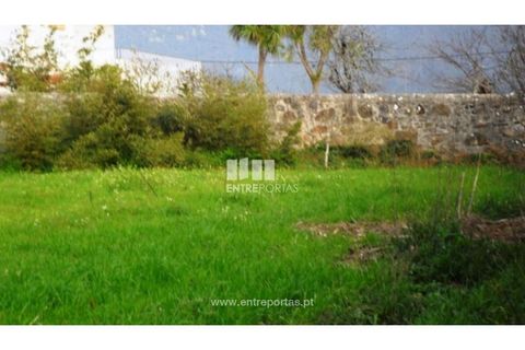 Helårsgrund i Viana do Castelo, Viana do Castelo, Viana do Castelo - € 400.000 | Ref: VCM09201 - foto 2