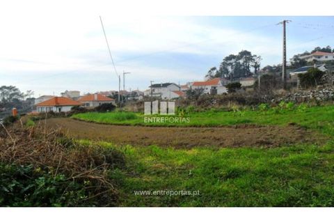 Helårsgrund i Viana do Castelo, Viana do Castelo, Viana do Castelo - € 400.000 | Ref: VCM09201 - foto 4