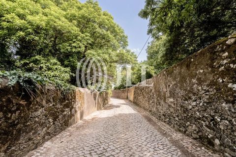 Helårsgrund i Sintra, Lisbon, Sintra - € 1.590.000 | Ref: 82297 - foto 2
