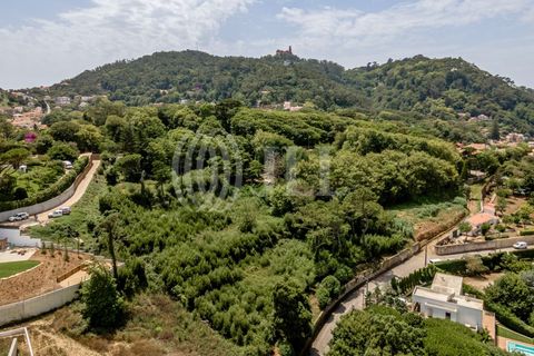 Helårsgrund i Sintra, Lisbon, Sintra - € 1.590.000 | Ref: 82297 - foto 7