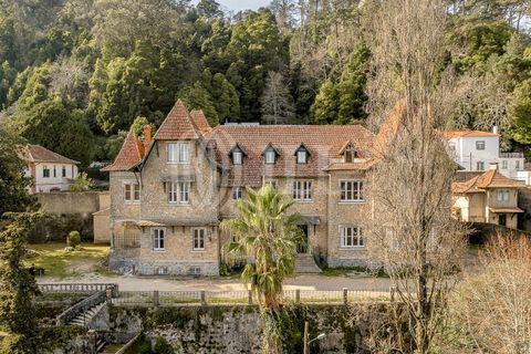 Farm i Sintra, Lisbon, Sintra - € 16.500.000 | Ref: 77659 - foto 4
