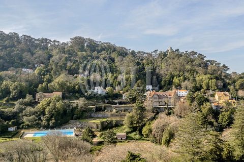 Farm i Sintra, Lisbon, Sintra - € 16.500.000 | Ref: 77659 - foto 5
