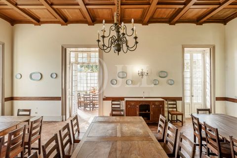 Farm i Sintra, Lisbon, Sintra - € 16.500.000 | Ref: 77659 - foto 15
